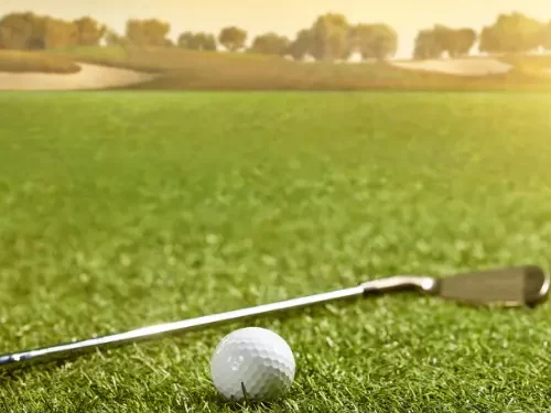 Golf Court