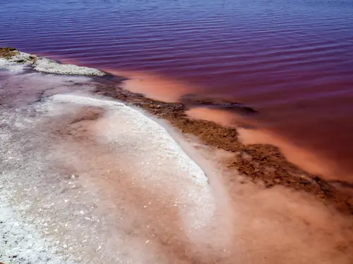 Pink Lake Torrevieja